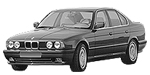 BMW E34 B15D8 Fault Code